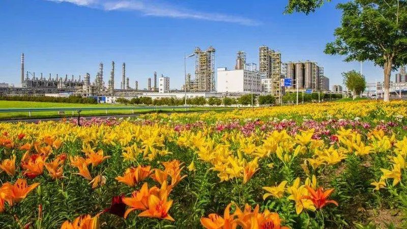 橡胶助剂代理加盟